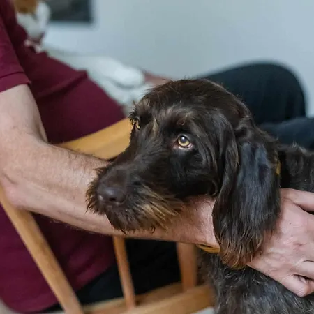 Appartement Taszowka - Oborka , Zapole