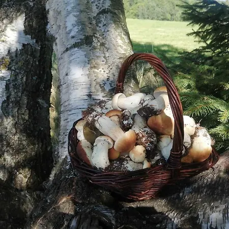 Taszowka - Oborka , Zapole Appartement