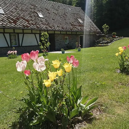 Taszowka - Oborka , Zapole * Taszow