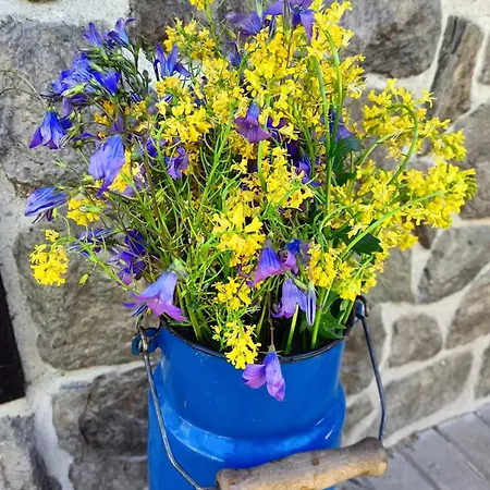 Taszowka - Oborka , Zapole *