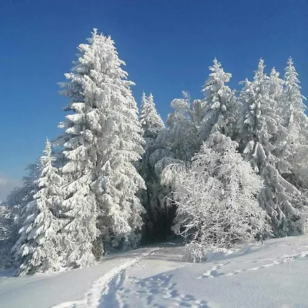 Taszowka - Oborka , Zapole