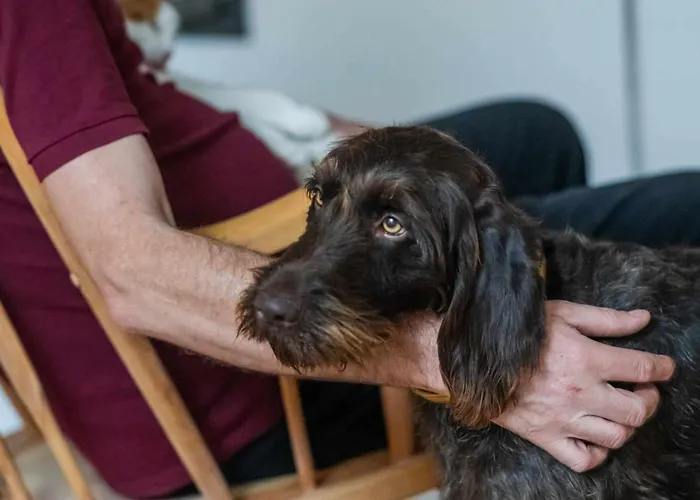 Apartment Taszowka - Oborka , Zapole