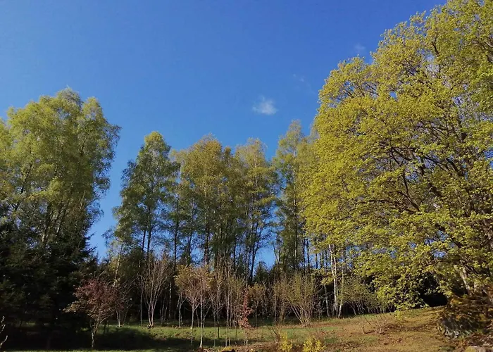 Taszowka - Oborka , Zapole Taszow