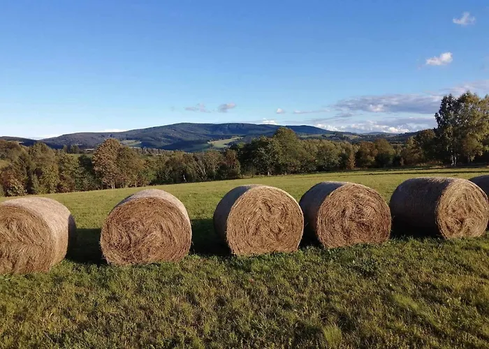Apartment Taszowka - Oborka , Zapole *