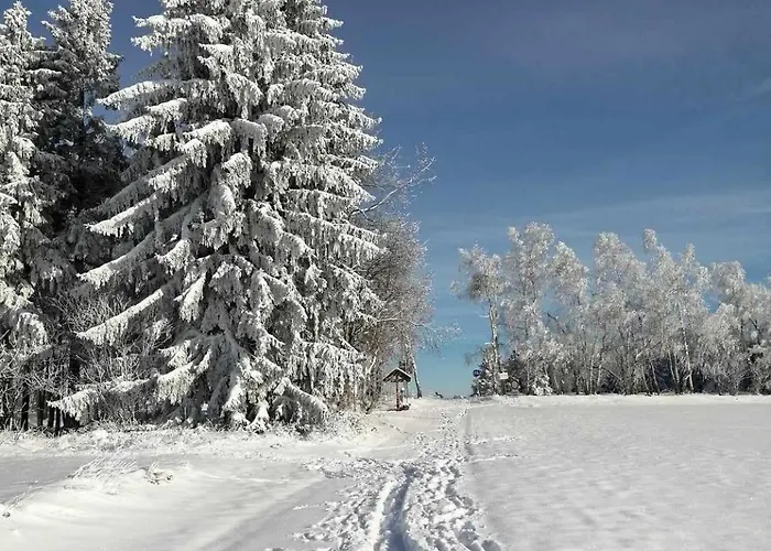 Apartment Taszowka - Oborka , Zapole