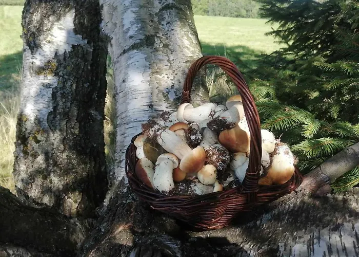 Taszowka - Oborka , Zapole Apartment