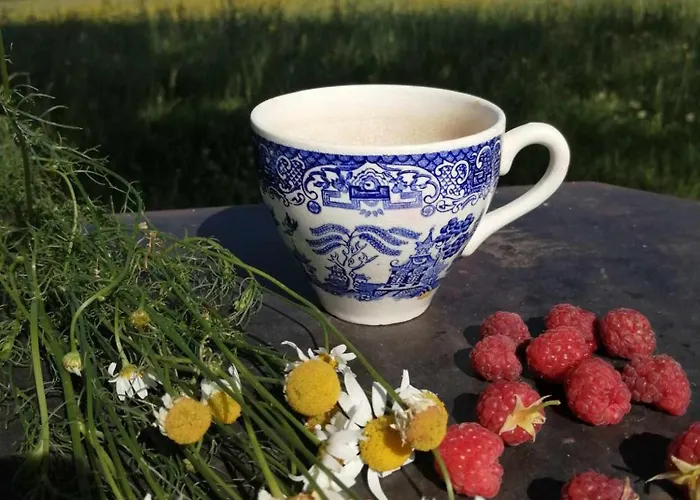 Taszowka - Oborka , Zapole Taszow