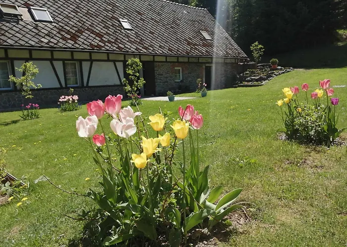 Taszowka - Oborka , Zapole * Taszow