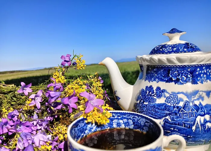 Apartment Taszowka - Oborka , Zapole