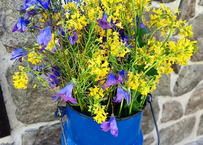 Taszowka - Oborka , Zapole *