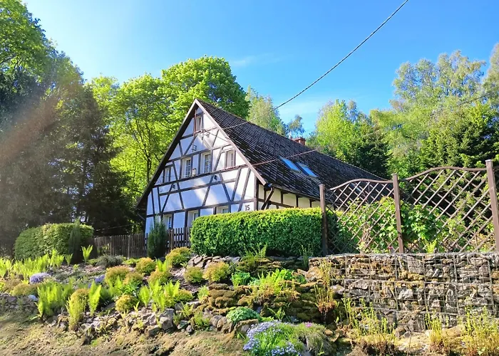 Taszowka - Oborka , Zapole *