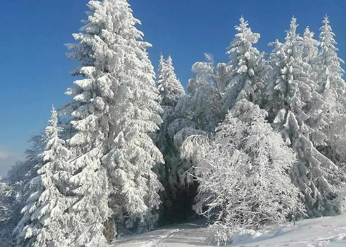 Taszowka - Oborka , Zapole